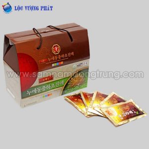 Dong trung ha thao sam nui tui xach 300x300 - NƯỚC TINH CHẤT SÂM