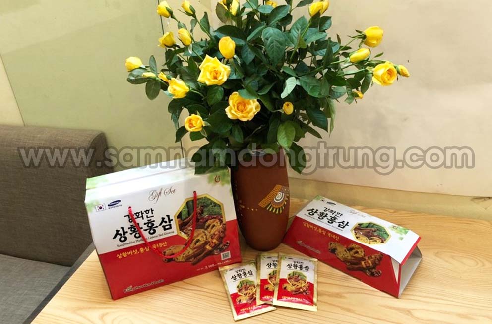 Hong sam nam thuong hoang tui xach hinh 2 - TINH CHẤT HỒNG SÂM NẤM THƯỢNG HOÀNG HỘP XÁCH